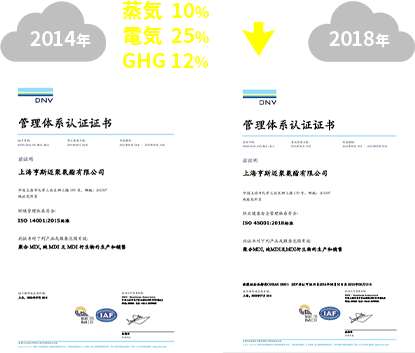 漕涇拠点（上海、中国）